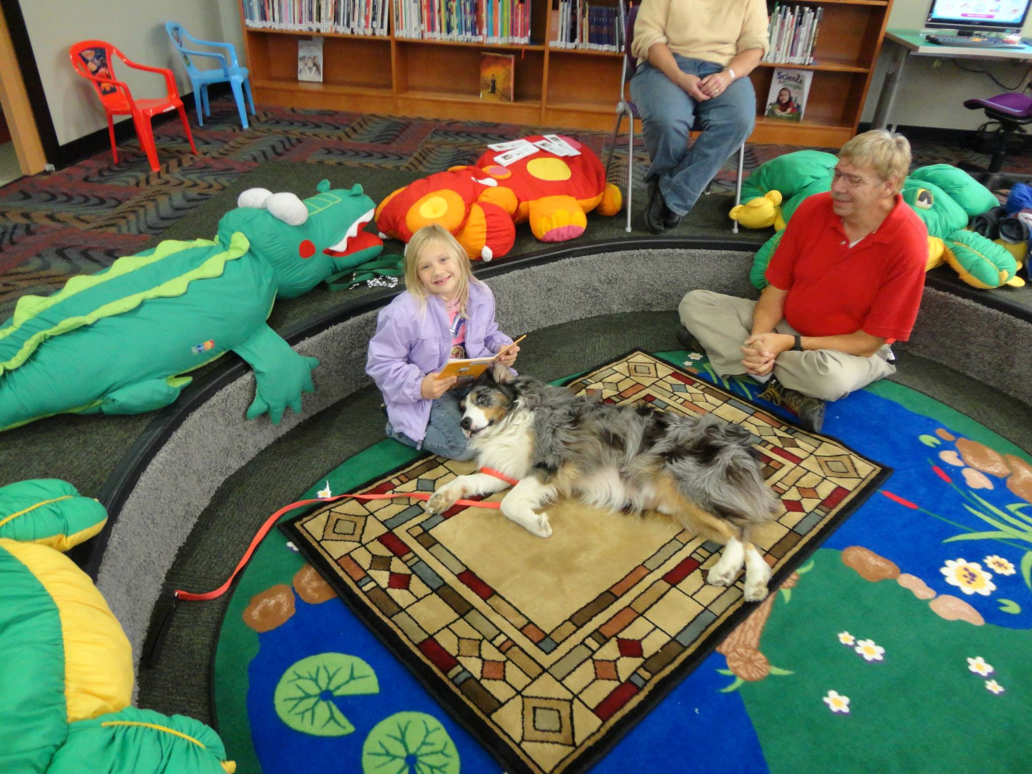 Taz3 Lomira Quad/Graphics Community Library